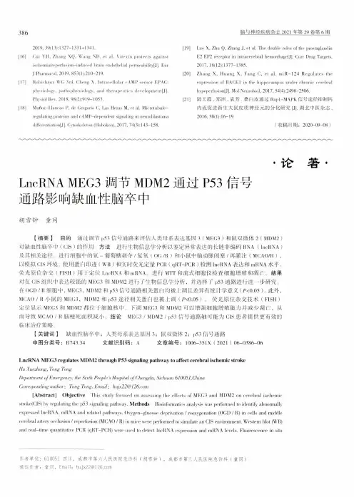 LncRNA MEG3调节MDM2通过P53信号通路影响缺血性脑卒中