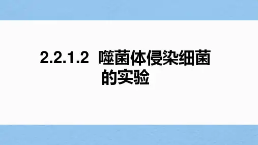 2023届高三生物一轮复习课件噬菌体侵染细菌的实验(1)