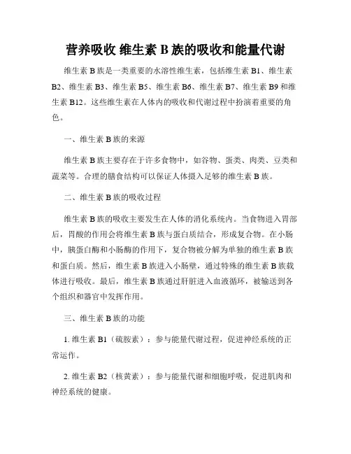 营养吸收 维生素B族的吸收和能量代谢