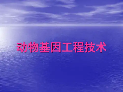 4-1 动物基因工程(简)