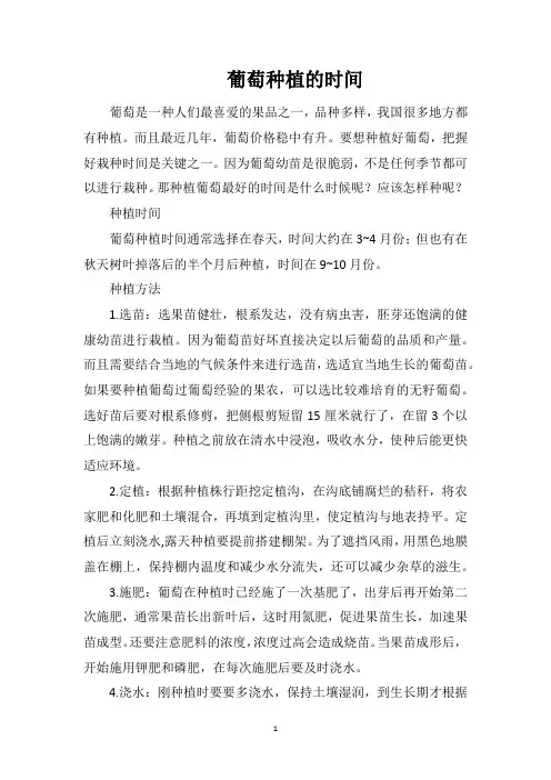葡萄种植的时间