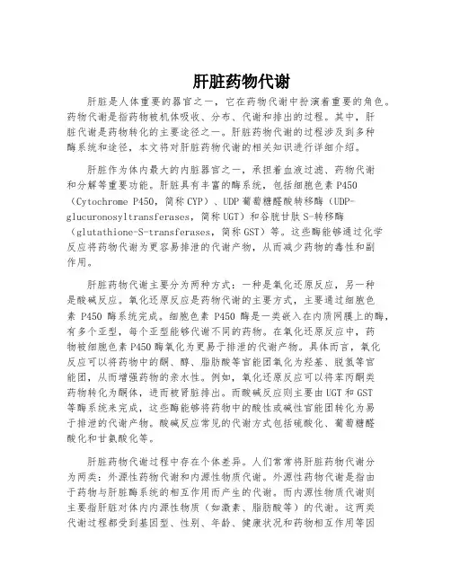 肝脏药物代谢