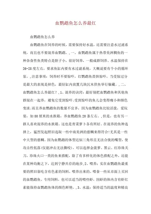 血鹦鹉鱼怎么养最红