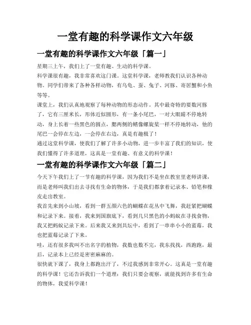 一堂有趣的科学课作文六年级
