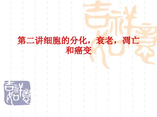 细胞分化衰老凋亡和癌变高三一轮复习教程教案