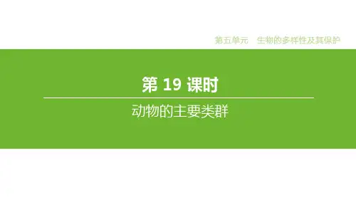专题19 动物的主要类群