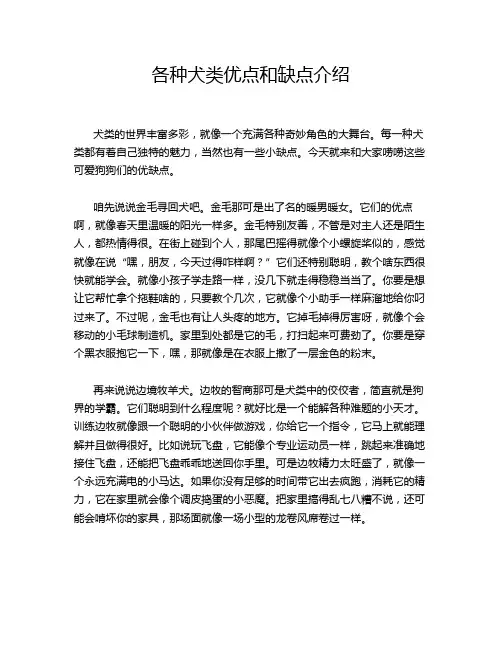 各种犬类优点和缺点介绍