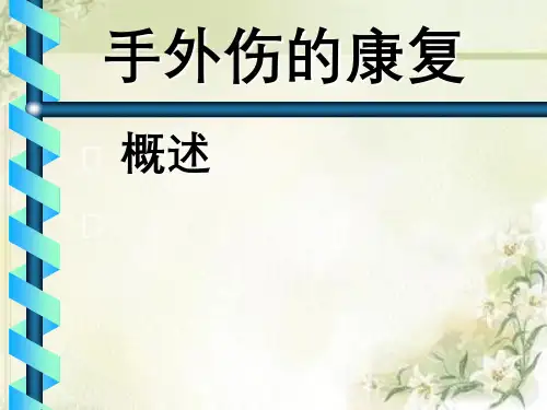 手功能康复大纲