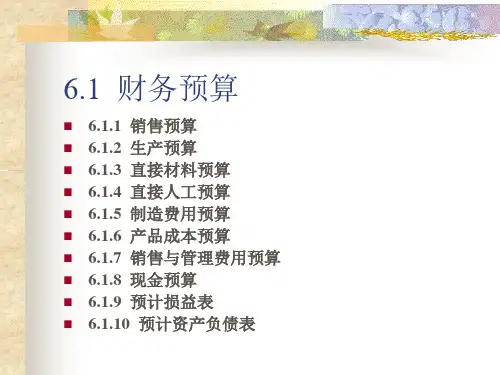 第6章财务预算和财务计划24页