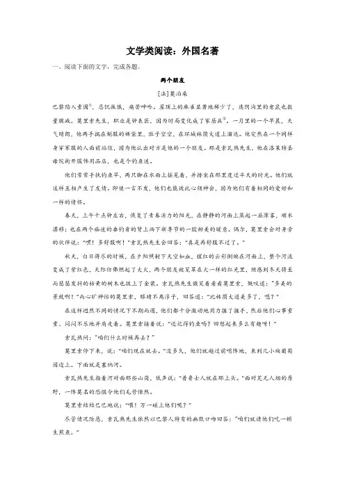 高考语文文学类阅读：外国名著类
