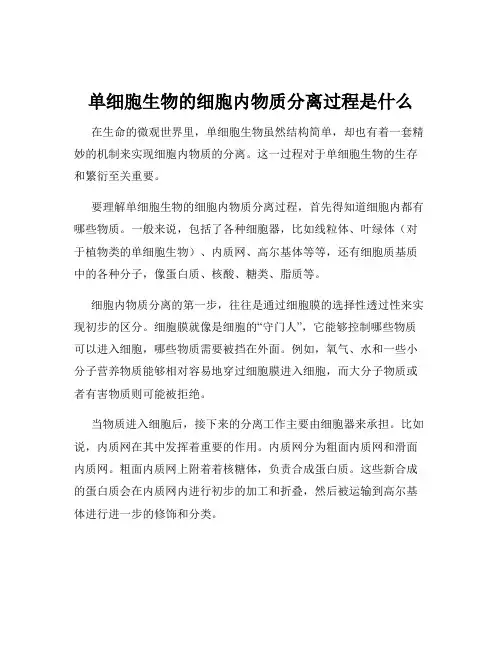 单细胞生物的细胞内物质分离过程是什么