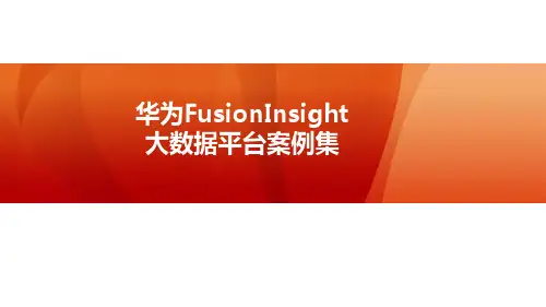 华为FusionInsight大数据案例集