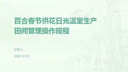 百合春节供花日光温室生产田间管理操作规程