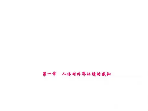 人教版七年级生物下册(课件)6.第一节 人体对外界环境