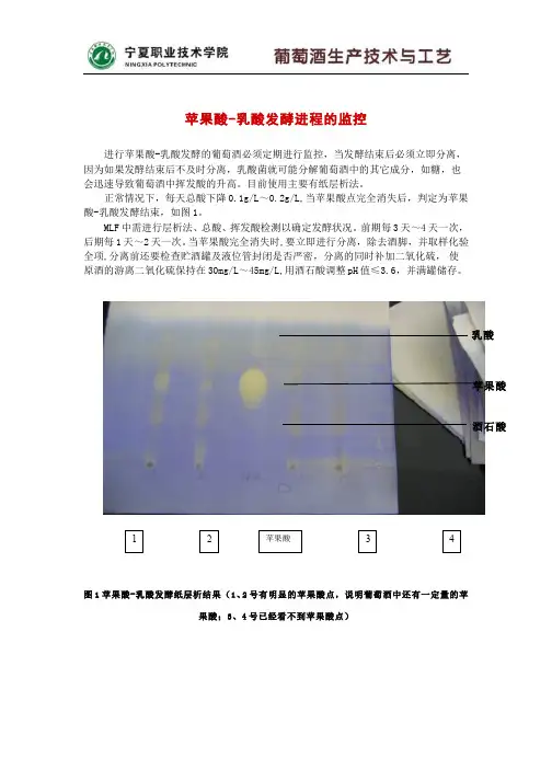 424-名词术语-苹果酸-乳酸发酵进程的监控