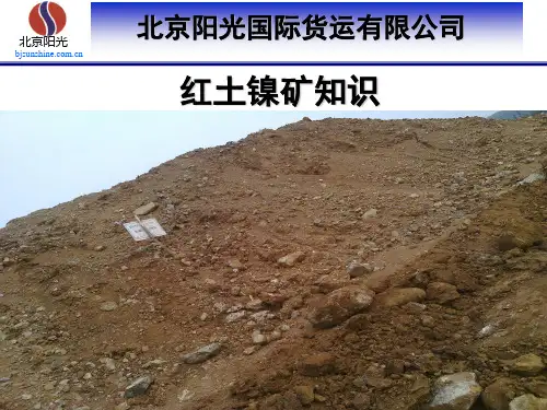 镍矿知识及监管注意事项