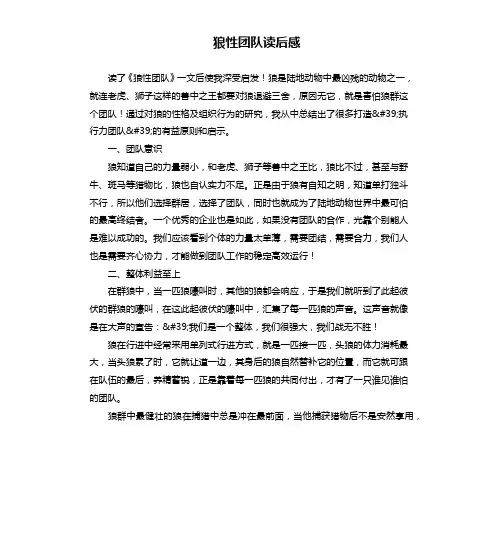 狼性团队读后感