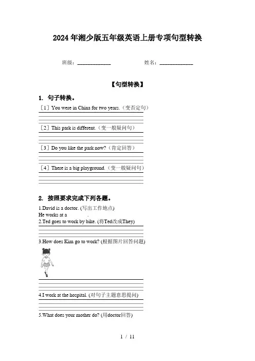 2024年湘少版五年级英语上册专项句型转换