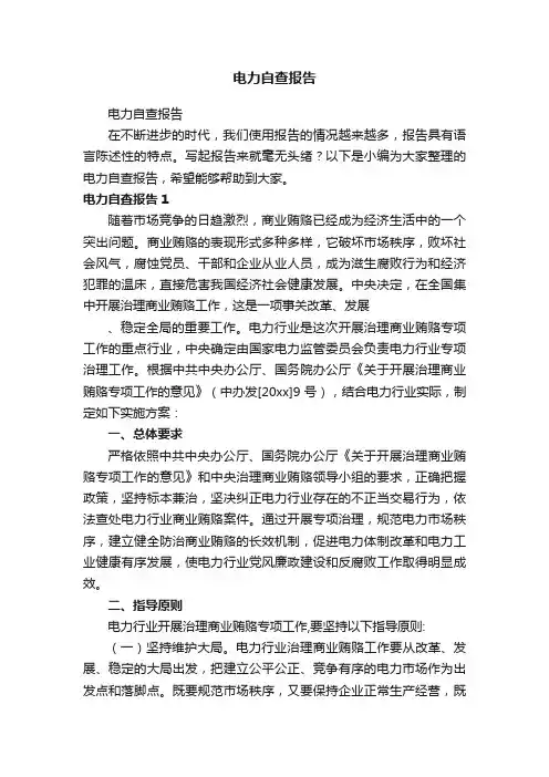 电力自查报告