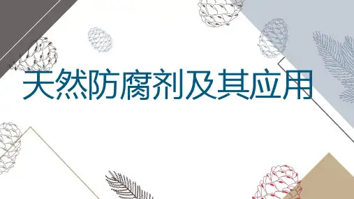天然防腐剂及其应用