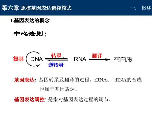 第六章 原核基因表达调控