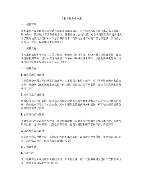 水利工程专项方案
