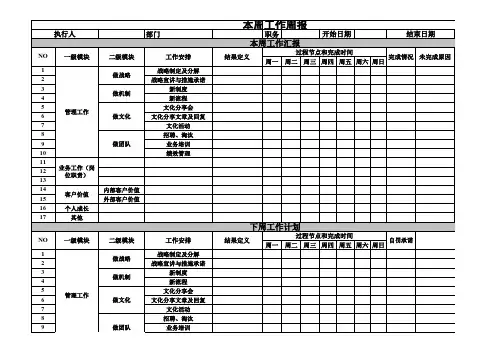 总经理周报周计划(模板)