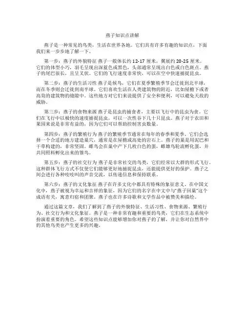 燕子知识点讲解
