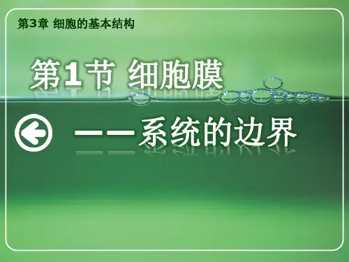 【课件】必修一 3.1 细胞膜—系统的边界 课件