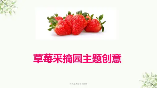 草莓采摘园项目规划课件