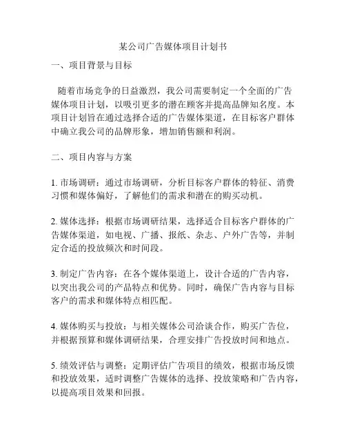 某公司广告媒体项目计划书