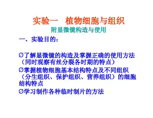 实验一   植物细胞与组织