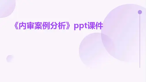 《内审案例分析》课件