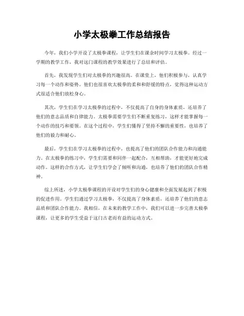 小学太极拳工作总结报告