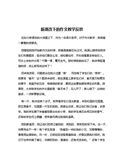 新课改下的作文教学反思