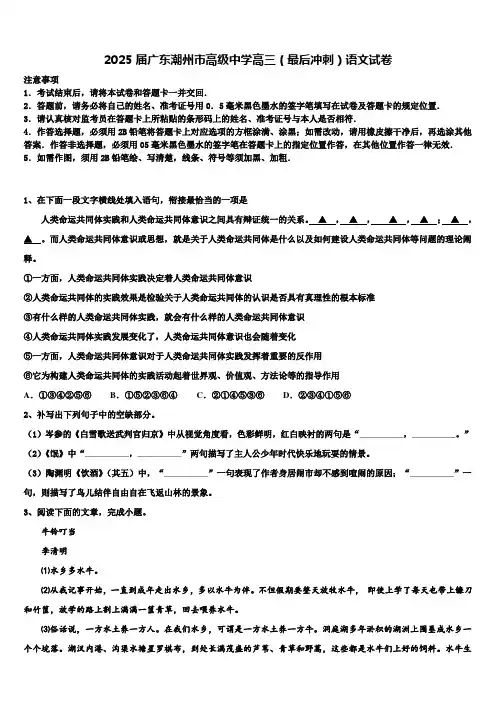 2025届广东潮州市高级中学高三(最后冲刺)语文试卷含解析