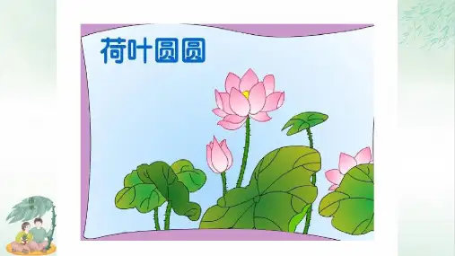 《荷叶圆圆》优质课件PPT(共24张PPT)