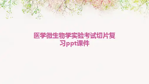 医学微生物学实验考试切片复习ppt课件