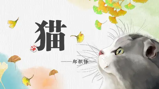 《猫》 ppt课件