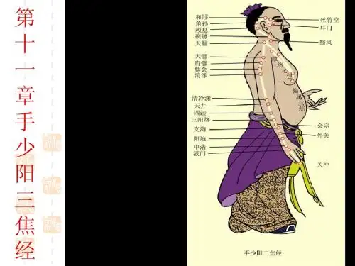 第十一章 手少阳三焦经