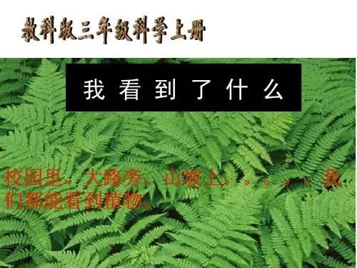 1_我看到了什么