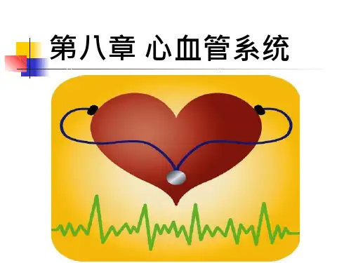 畜禽解剖学-心血管系统
