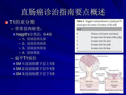 直肠癌肿瘤分期与手术方式ppt课件