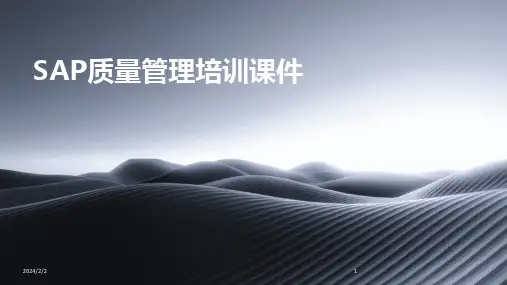 2024版年度SAP质量管理培训课件