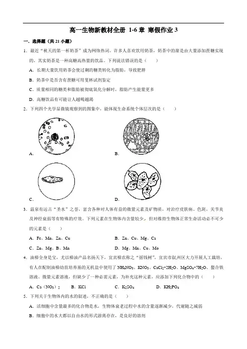 寒假作业3-2021-2022学年高一生物新教材必修一