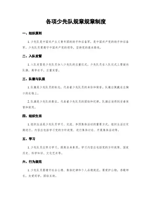 各项少先队规章规章制度