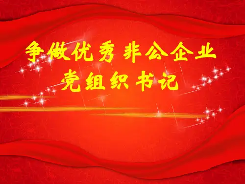 争做优秀非公企业党组织书记