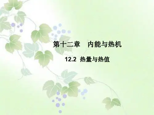 8年级物理上册课件12.2 热量与热值