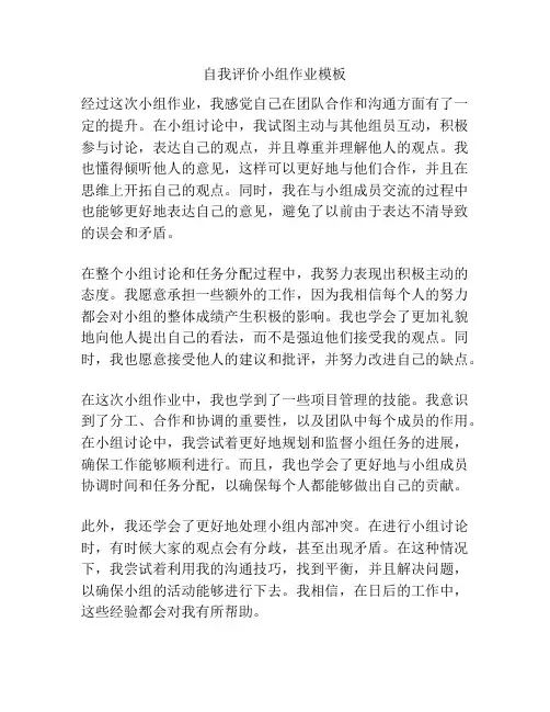 自我评价小组作业模板