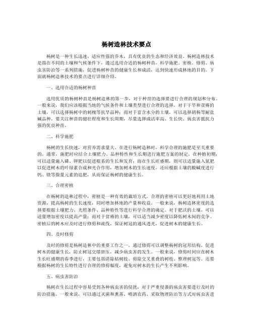 杨树造林技术要点